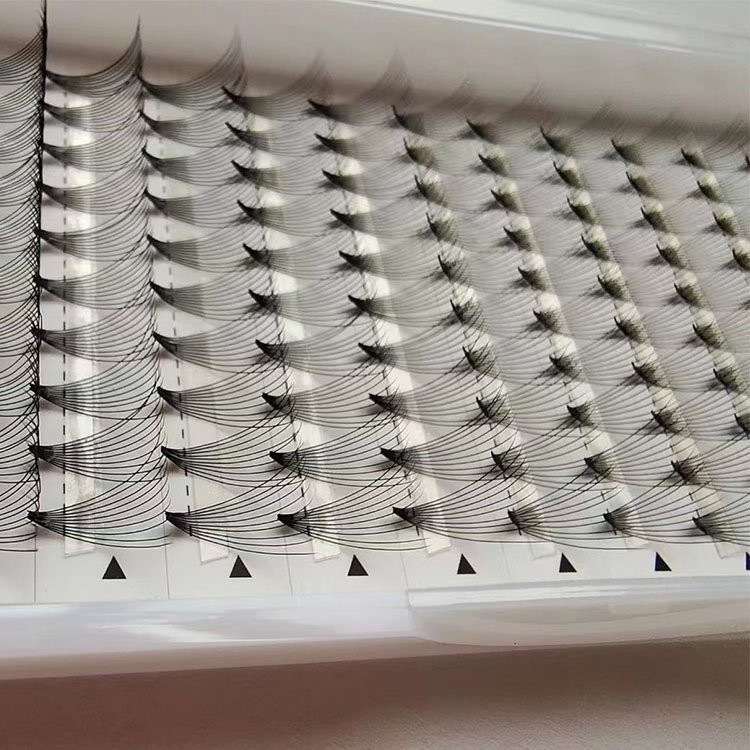 10d short base lash fan