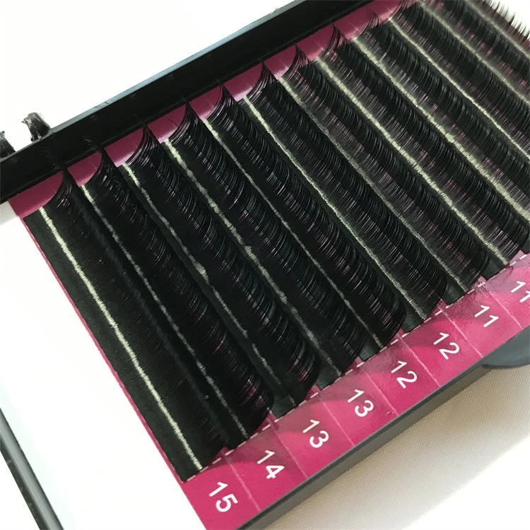 classic lash tray