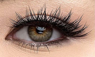 a39d556434c7739b80545b3d4a579e1 a39d556434c7739b80545b3d4a579e1