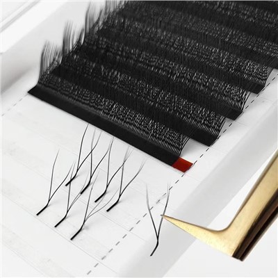 eyelash y shape