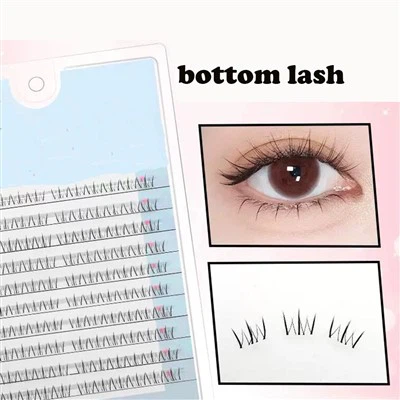 Bottom Lash Extension